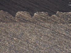 バイブレーション